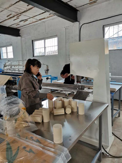 辦衛生紙加工廠所需人工及個人衛生用品銷售策略